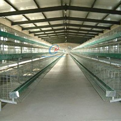 Galvanisierte Stahlkonstruktion Geflügelhaus mit Isolierplatten