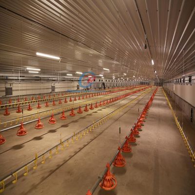Wirtschaftliche Stahlgebäude