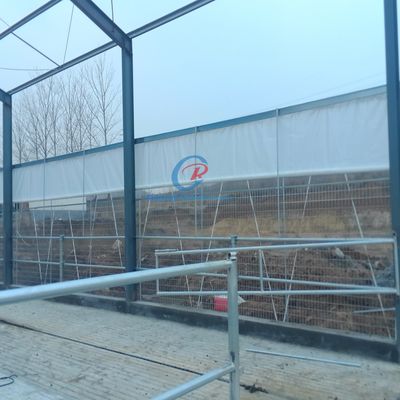 Stahl-Metall-Schuppen Bau, Fertigstahlschuppen für Milchfarmen