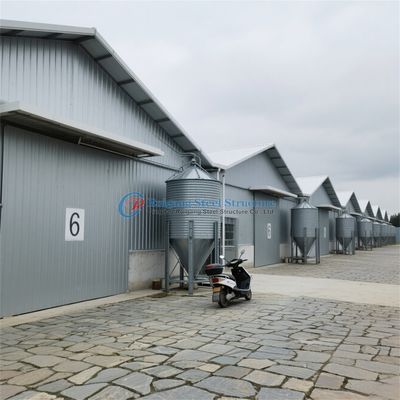 Prefab House Solutions for Warehouse, Chicken House, Poultry House